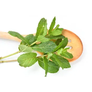 Organic Dry Stevia Leaves
